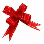 Laço Facil 15cm Vermelho Ref. 5377