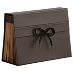 Pasta Sanfonada c/31 Div. 1/2 Preta 0698-p 