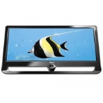 Monitor LCD 18.5 Pol.  AOC F19L