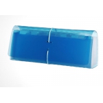 Pasta Sanfonada Cheque c/31PxL00434 Sce31 Azul