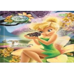 Caderno 1/4 Brochura 96fls CD Fadas