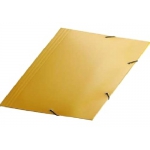 Pasta de Papelão c/Elastico c/Aba Amar DxL0197.A