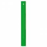 Regua Poliestireno 20cm Verde