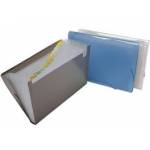 Pasta Sanfonada Plast c/31d A4 Fume AlaPlast