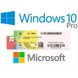 Software Windows 10 Profissional Dowload 64Btis só acompanha o Certificado Oem Microsoft