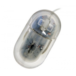 Mouse Usb Optico SPIDER 7451***X