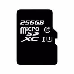 SDXC MICRO 256GB CLASS10 UHS-I
