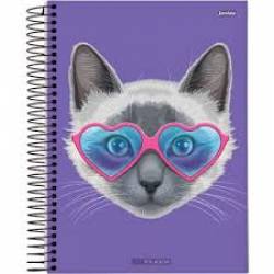 Caderno Espiral 1/4 , 96 Folhas 140x200 Flexível Jandaia