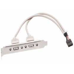 Adaptador p/Placa Mãe 2 Portas USB
