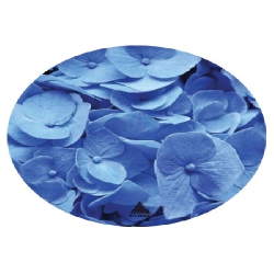 Pad Mouse Metalico Flores Azul xCn04083